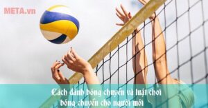 Luật Chơi Bóng Bàn: Hướng Dẫn Chi Tiết Cho Người Mới Bắt Đầu